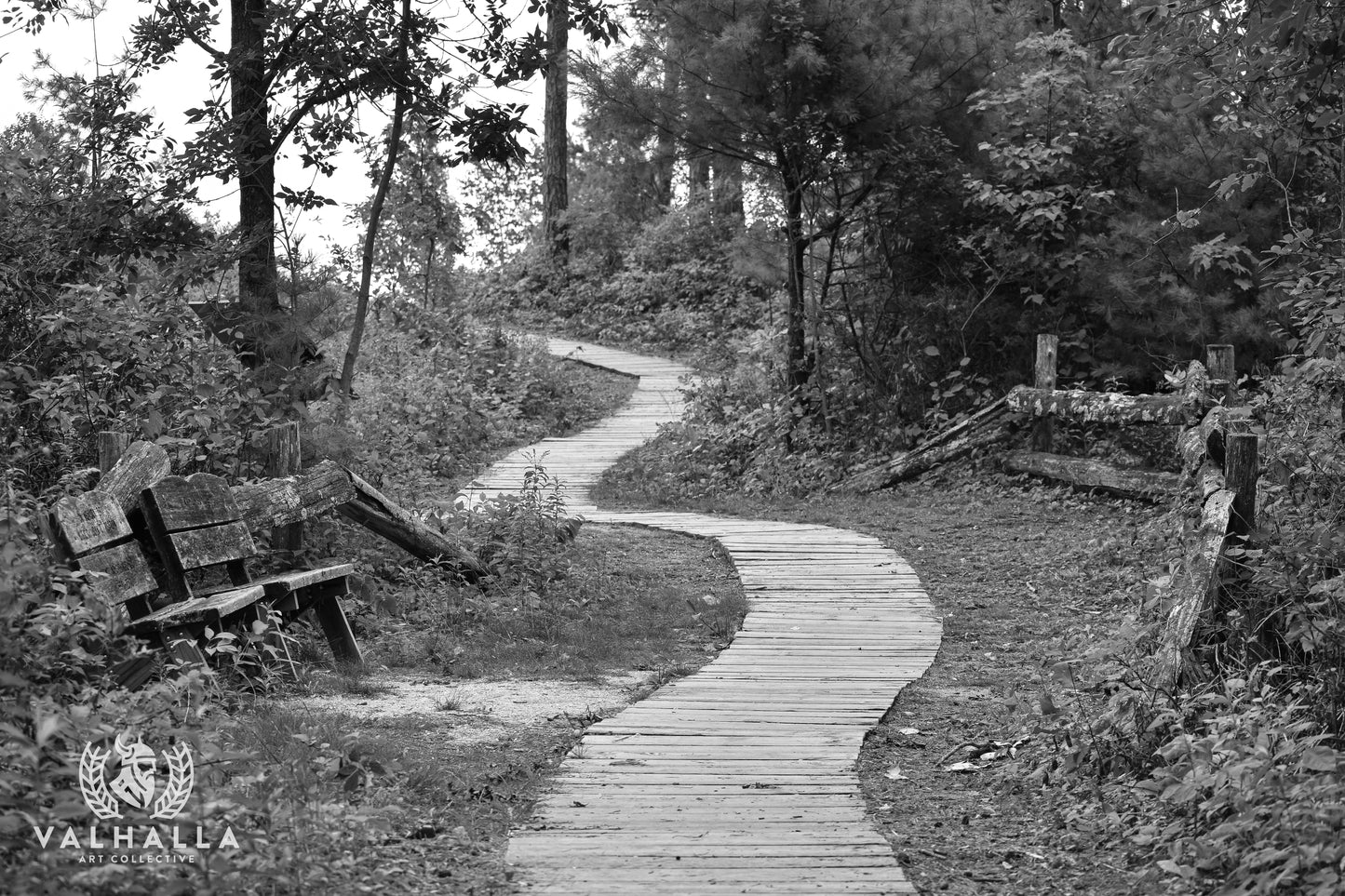 The Journey