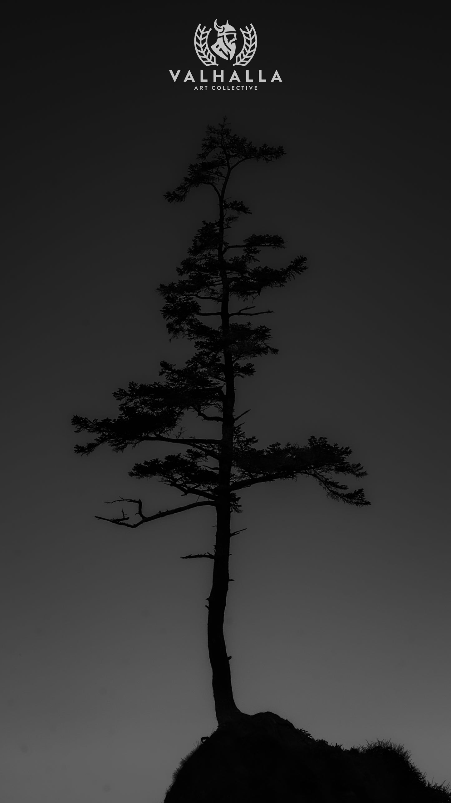 The Shadow