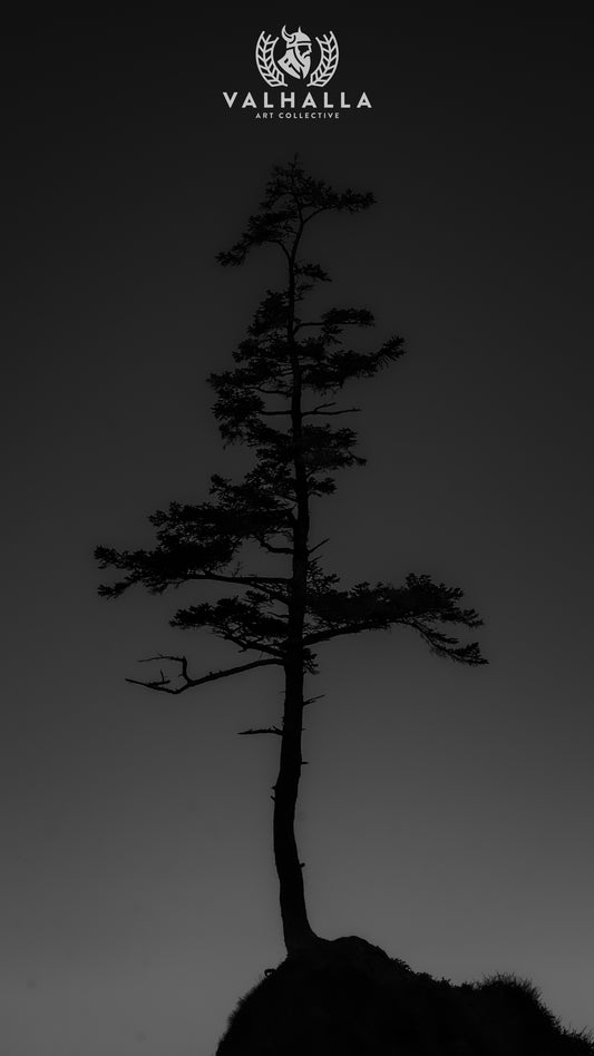 The Shadow