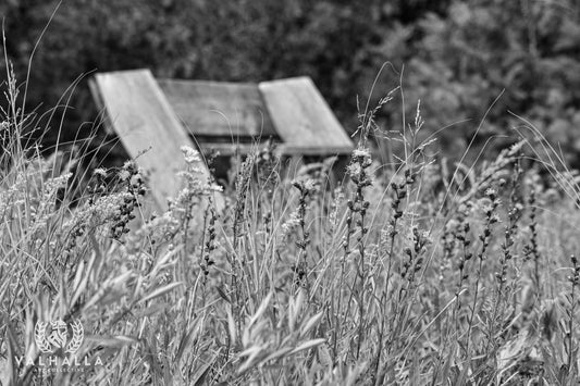 Just Beyond the Flowers