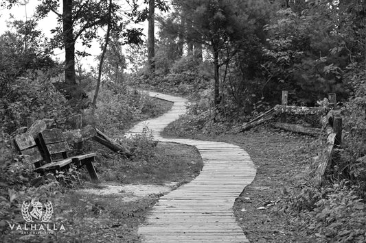 The Journey